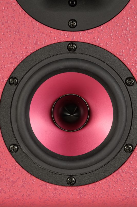 Pink SAS Acoustics woofer, close-up